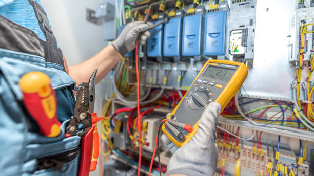 Best Electric Panel Repair  in St Paul Park, MN